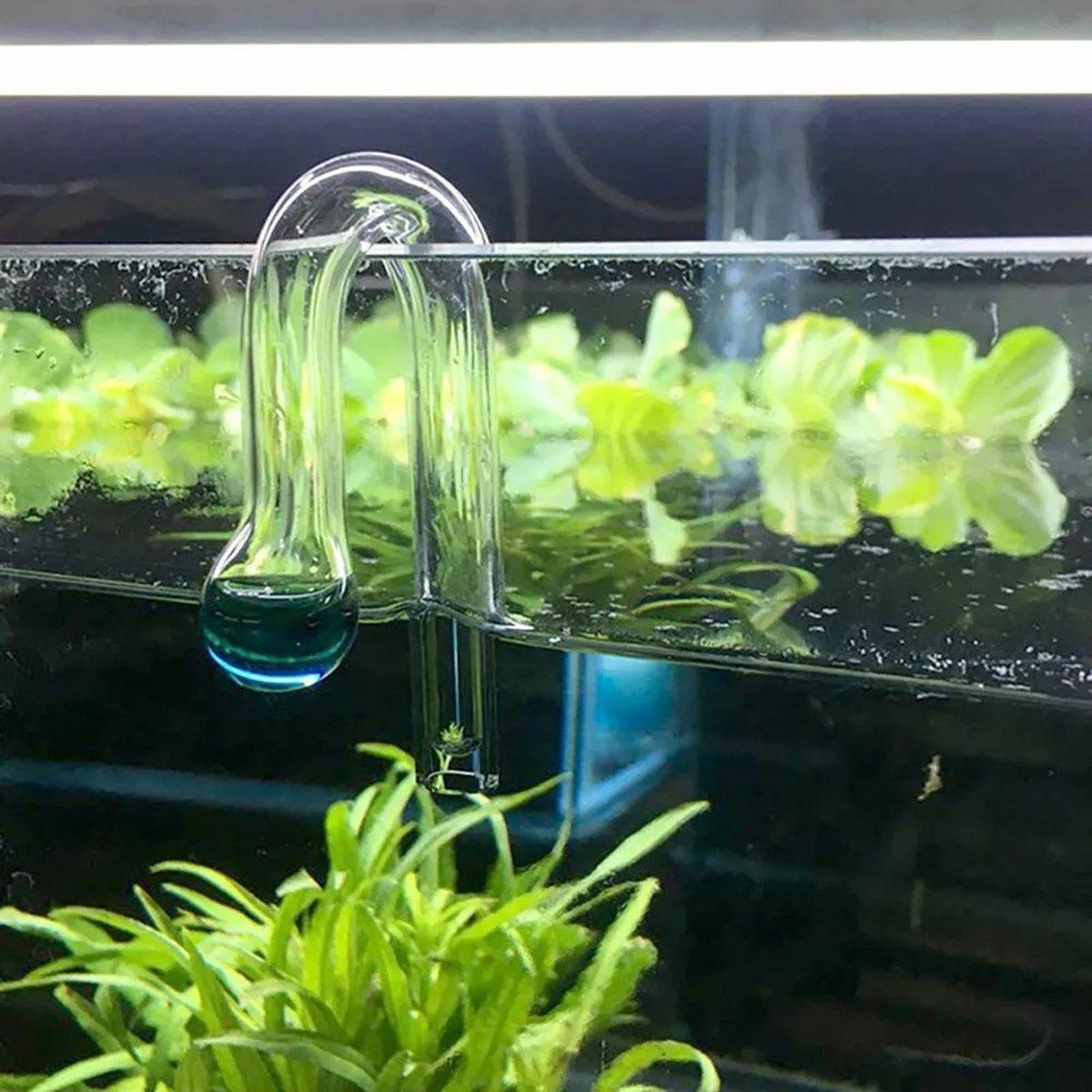 Aquatic CO2 Glass Drop Checker for Accurate Aquarium Monitoring