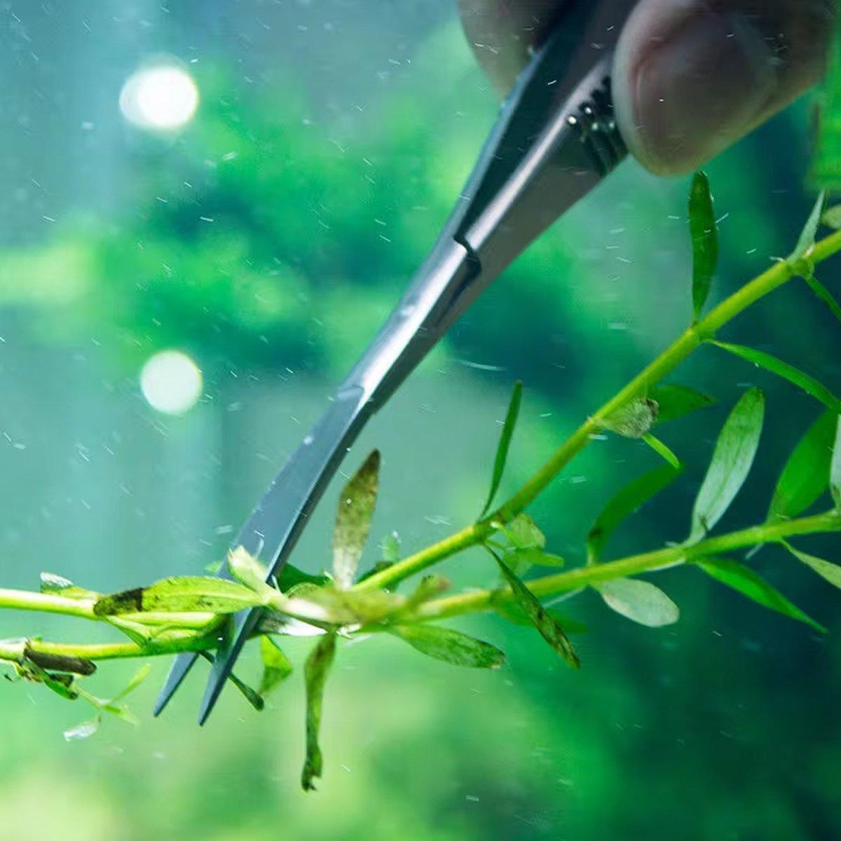 Aqua Plants Fish Tank Landscape Tools Black Spring Shears Aquarium Grass Tank Trimming Supplies Aqua Shears