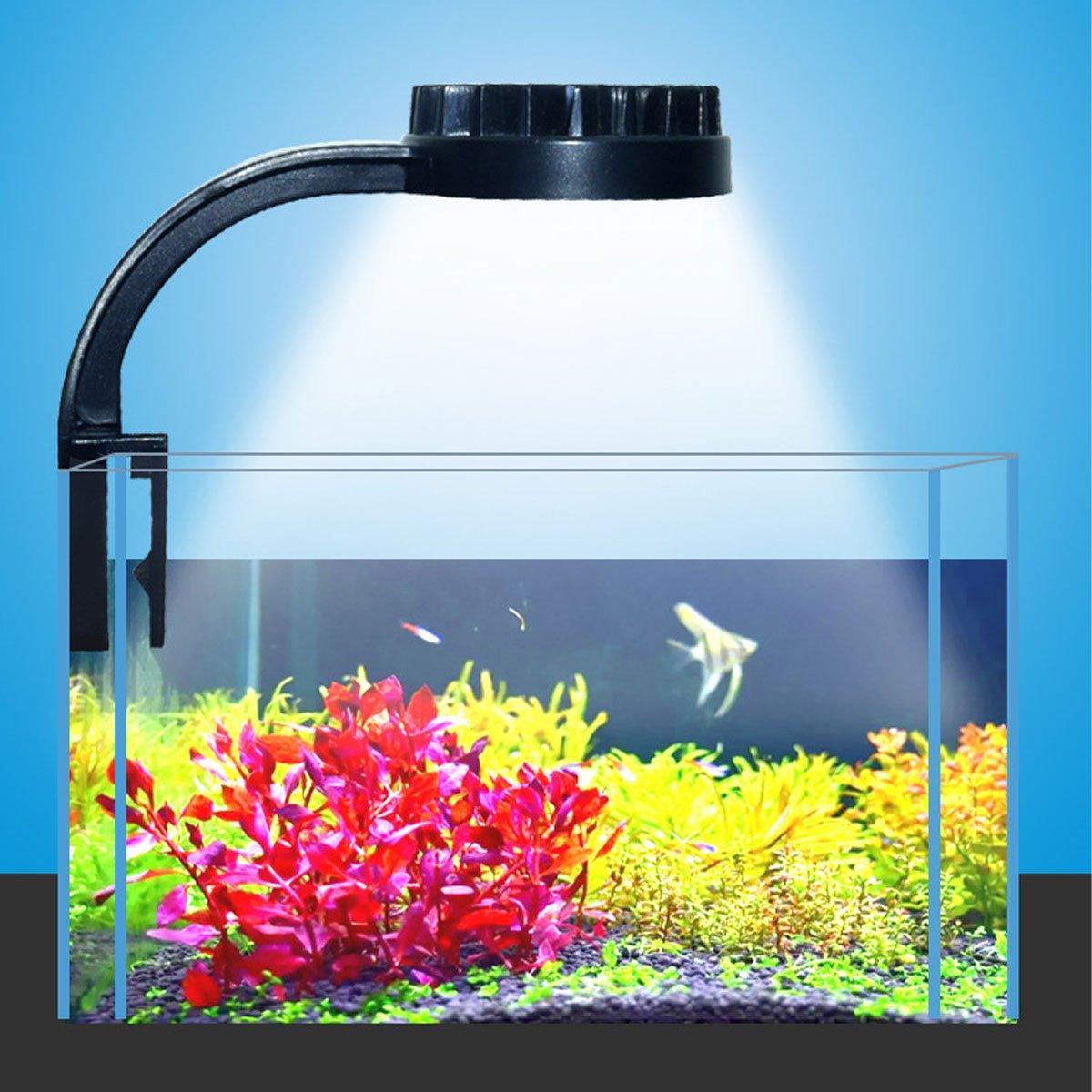 Efficient Aquarium Lights for Plants Ideal for Desktop Fish Tanks