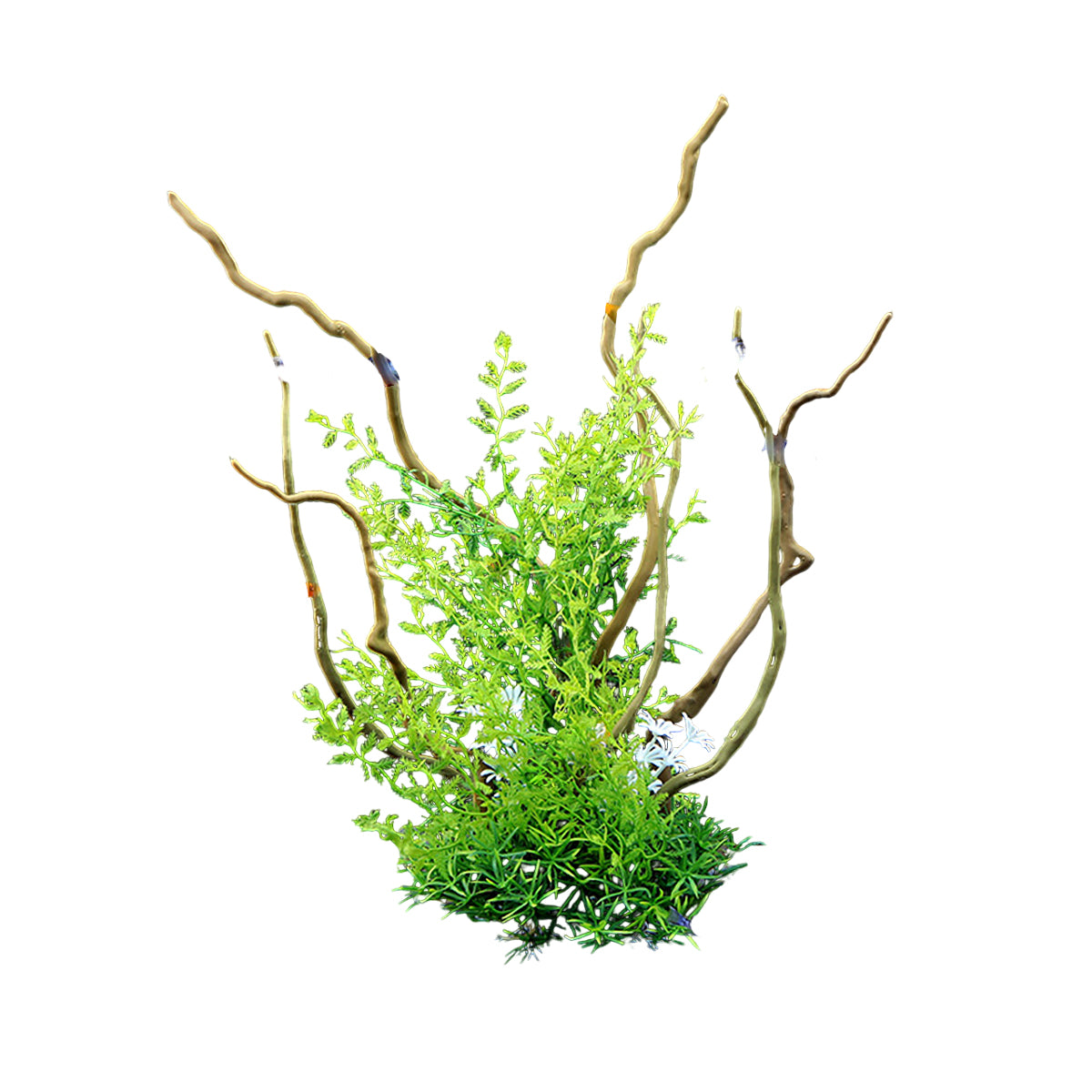 Aquarium Decoration Set with Artificial Wood and Water Grass